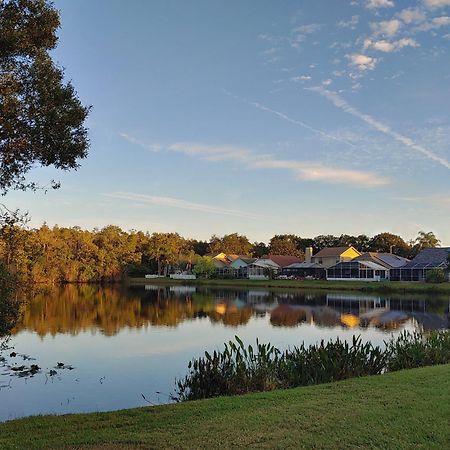 Cozy And Conveniently Located Pool Home With Free Wifi Tampa Eksteriør billede