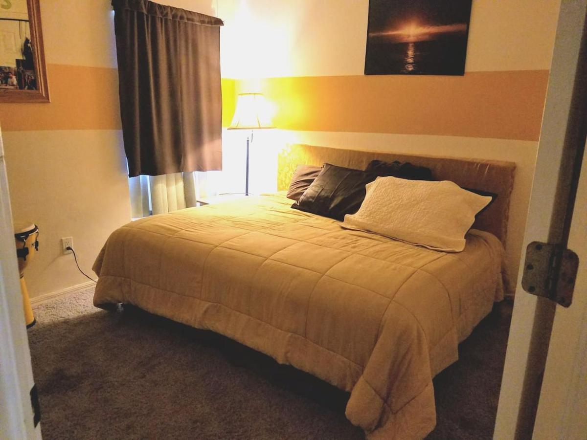 Cozy And Conveniently Located Pool Home With Free Wifi Tampa Eksteriør billede