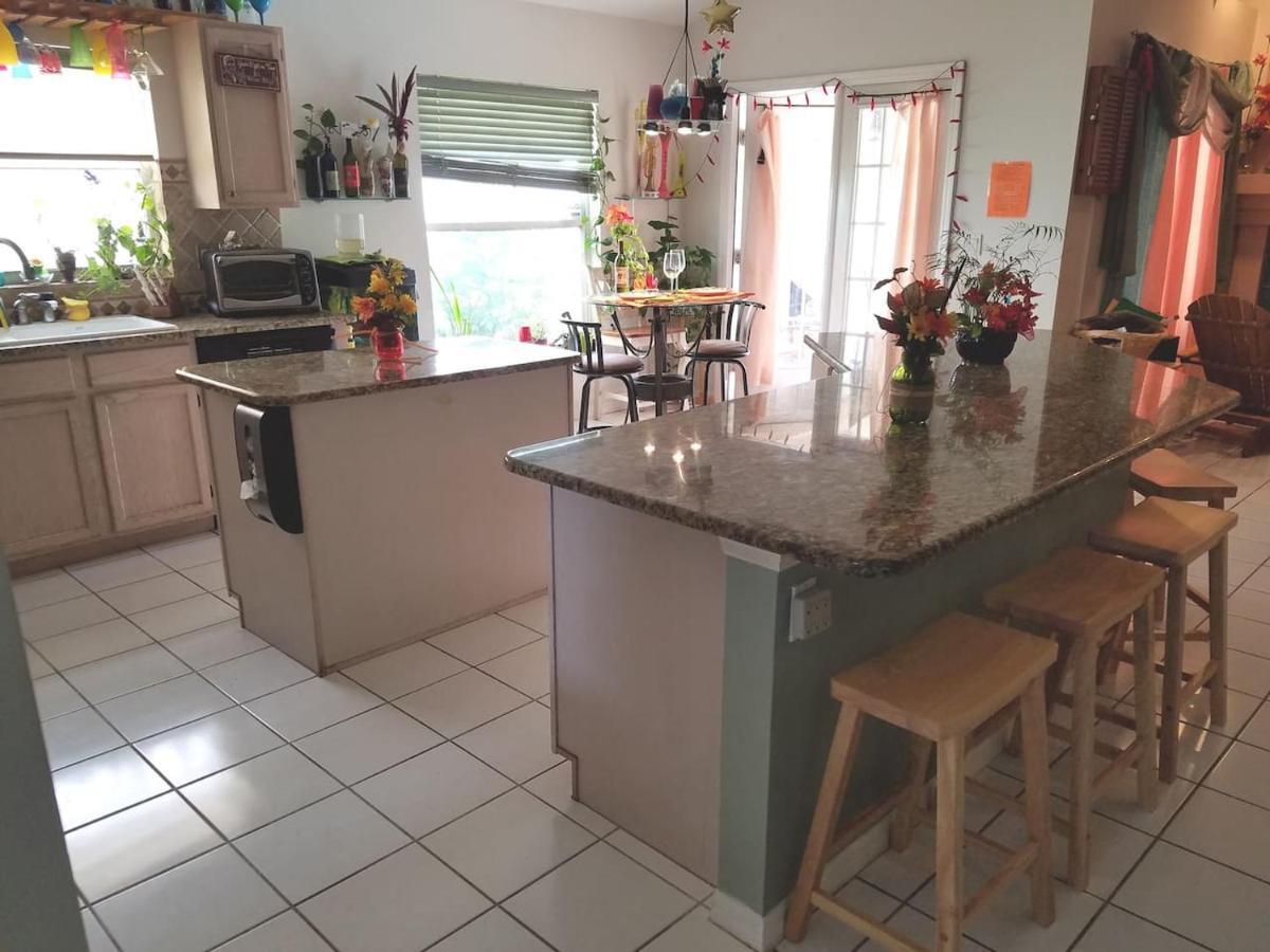 Cozy And Conveniently Located Pool Home With Free Wifi Tampa Eksteriør billede